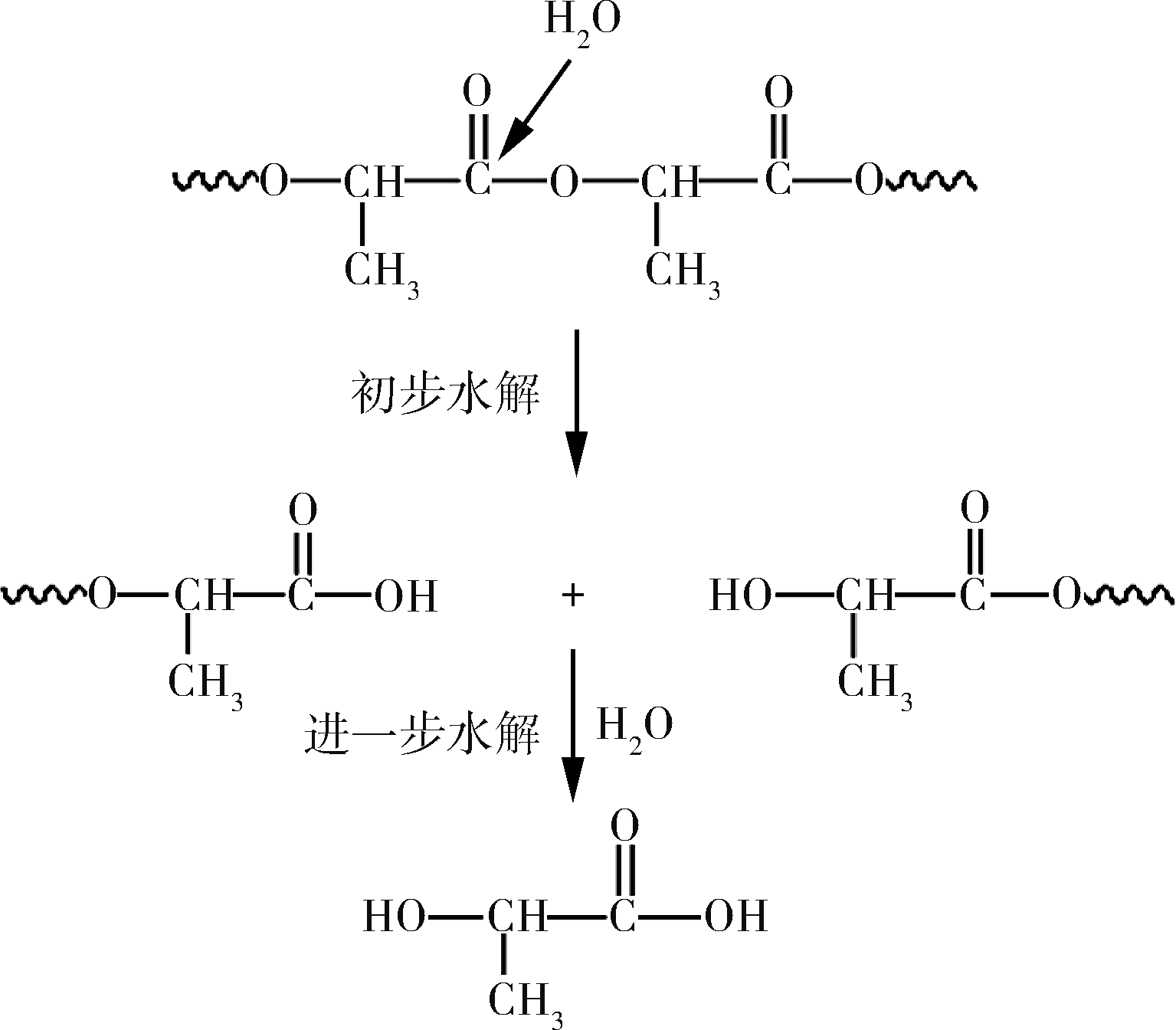 聚左旋乳酸童颜针-企业官网